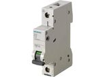 Interruttore Magnetotermico Siemens, 230/400 V, 6 Ka, 1 Polo, B, 16 A