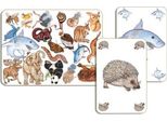 Djeco - Gioco Di Carte: Zanimatch