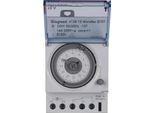 Legrand Microrex QT31, Timer Giornaliero Analogico Con Riserva Di Carica, 230 V 50/60 Hz, 1 Canale, 3 Te