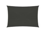 The Living Store Tenda Da Sole 160 G/M² Antracite 5X6 M Hdpe