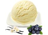 Gelato In Polvere Alla Vaniglia E Mirtillo Vegano Senza Zucchero E Senza Lattosio 10 Kg