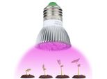 Led Pianta Crescere Lampadina, Crescendo Lampadina