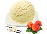Nettarina Alla Vaniglia Gelato In Polvere A Basso Contenuto Di Carboidrati Vegan Senza Zucchero E Senza Lattosio 10 Kg