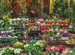 Puzzle Ravensburger Costa Na Pali, Hawaii 500 Pezzi