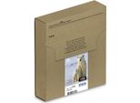 Epson Polar Bear Multipack 4 Colori 26 Easymail