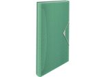Esselte 626253 Cartella Per Progetti Esselte Colour'ice, A4, Pp, 6 Scomparti, Verde