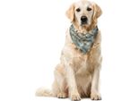 Abakuhaus Bandana Geometrica Per Animali Domestici, Disegno A Linee Morbide Verticali, 40X40 Cm, Color Crema Chiaro E Azzurro Pallido