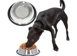 Aga Ciotola In Acciaio Inox Per Cani E Gatti 22 Cm