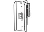 Zebra P1037974-001 Server Di Stampa Interno Lan Ethernet