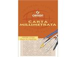 Canson C200005812 Carta Da Disegno Foglio D'arte 10 Fogli
