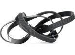 Dayco Nastro Multirighe 6PK2460