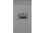 Epson Kiwi Singlepack Black 202 Claria Premium Ink Nero