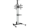 Startech.Com STNDMTV70 Supporto Per Display Espositivi 190,5 Cm (75") Nero, Acciaio Inossidabile"