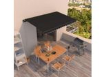 The Living Store Tenda A Bracci Pieghevoli A Scomparsa 450X350 Cm Antracite