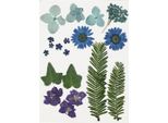 Fiori E Foglie Secche Blu, 19Dlg.