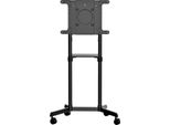 Startech.Com Mbltvstndec Supporto Tv A Parete 177,8 Cm (70") Nero"