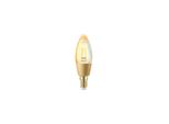 Wiz Lampadina Smart Filament Ambrata Dimmerabile Luce Bianca Da Calda A Fredda Attacco E14 25W Candela