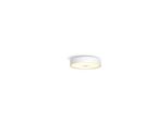 Philips Hue White Ambiance Fair Plafoniera Smart E Dimmer Switch Bianco