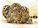 Zuty - Diamond Painting - Waiting Leopard, 40X50 Cm, Tela Tesa Su Telaio