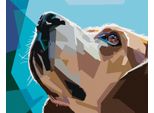 Zuty - Quadro Diamante - Cane Beagle, 40X50 Cm, Senza Cornice E Senza Tela Chiusa