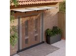 Tettoia Per Porta The Living Store Nera E Trasparente 358,5X90 Cm In Policarbonato