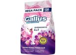 Gallus Professional 4In1 Farbe 6,6 Kg (120 Lavaggi)