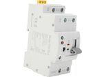 Interruttore Di Trasferimento Automatico A Doppia Potenza 2P 16A Ats Interruttore Di Commutazione Del Circuito Elettrico Del Generatore 220VAC