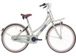 Bikefun Bicicletta Per Bambini Bicicletta Da Carico 24 Pollici Con Mozzo Freno Nexus A 3 Velocità – Desert Sage