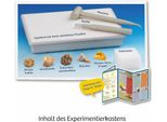Franckh-Kosmos Fossilien 657918