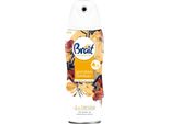 Brait 2In1 Deodorante Per Ambienti, Ambra Dorata (Oli Essenziali), 300 Ml
