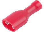 Spina Femmina 6,3 Mm, Isolata, 10 Pezzi, Rossa