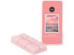 Bridgewater Candle Bar Di Cera Profumata Sunkissed 73 G