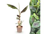 Banano Giapponese In Fibra Musa Ever Red - Pianta Da Frutto - Resistente - Ø21 Cm - Altezza Circa 90 Cm - Steli Rossi E Foglie Verdi - Stile Tropicale Per Giardino E Balcone
