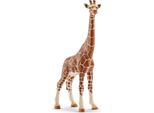Schleich Wild Life Giraffa, Femmina