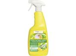 Spray Disinfettante Bogaclean Clean & Smell Spray 750 Ml