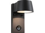 Paulmann Lampada Da Parete Per Esterni A Led Capea Rilevatore Di Movimento Crepuscolare (Ir)
