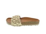 Verbenas Rica 330079V-0271-0044 (37/Oro)