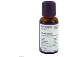 Olio Di Incenso Indiano Biologico 30 Ml