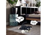 Mad Monkey 2000058 Mad Monkey - Chuckle Buddie Katze