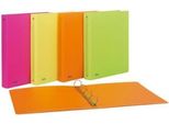 Favorit 400090369 Raccoglitore Ad Anelli A4 Verde, Arancione, Rosa, Giallo