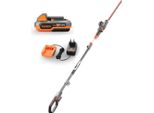Tagliasiepi Telescopico A Batteria 20V Fuxtec E1HH20 Set Con Batteria E Caricatore