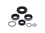 Set Guarnizioni Albero Motore A 4 Velocità Per Kreidler Florett Serbatoio Uovo Super 4 K54 Rm Rmc Lh Lf Cambio A Pedale