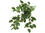 Countryfield Pianta Artificiale Peperomia Verde H23Cm