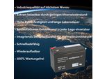 Batteria Al Piombo Multipower MP8-12C Pb 12V / 8Ah Resistente Ai Cicli, Faston 6,3