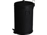 Howhomely | Cestino Per Rifiuti - Cestino Per Rifiuti Con Coperchio - Nero Opaco - 20 L - Cestino Per Rifiuti