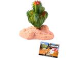 Reptile Nova Cactus Artificiale Per Terrario 10 Cm