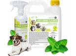 Isokor Neutralizzante Urina Di Cane 2L + 500Ml Rimuovi Odore Di Urina