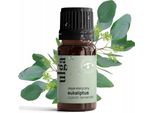 Olio Di Eucalipto, Naturale, Puro Al 100%, Lenitivo, 10 Ml Eucalipto