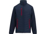 Regatta - Giacca Trapuntata Da Uomo, Cerniera Integrale RG12390 (3XL) (Blu Navy/Rosso)