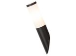 Rabalux 8145 Lampada Da Parete Per Esterni Torcia Nera, E27, Acciaio Inox, Bianco-Nero, Moderna, IP44, 36,5 Cm